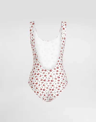 Dolce & Gabbana Small Rose-print One-piece Swimsuit In White