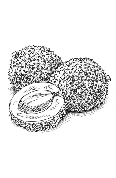 Amouage Essences Sequence Eau De Parfum In White