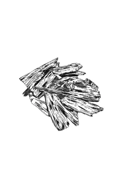 Amouage Essences Sequence Eau De Parfum In White