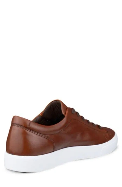 Ecco Soft 7 Premier Sneaker In Brown