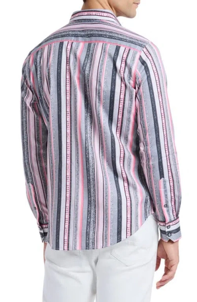 Robert Graham Bramshaw Mixed Stripe Stretch Cotton Button-up Shirt In Pink