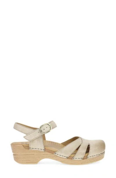 Dansko Margreta Clog In Multi