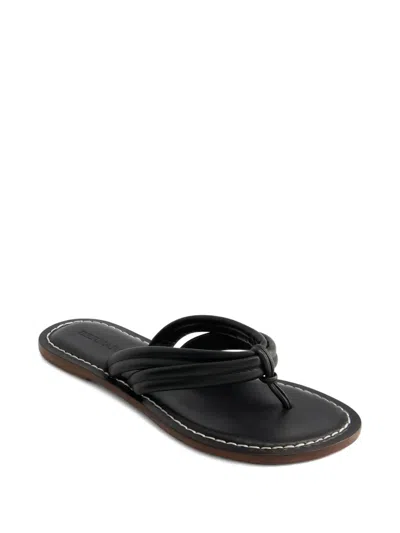 Bernardo Footwear Miami Thong Sandal In Black