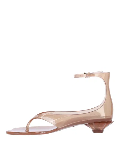 Chloé Jelly Brown Sandals With Logo Imprinted On The Side And Ankle Buckle Closure In Tpu Woman In Neutral