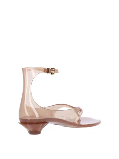 Chloé Jelly Brown Sandals With Logo Imprinted On The Side And Ankle Buckle Closure In Tpu Woman In Neutral