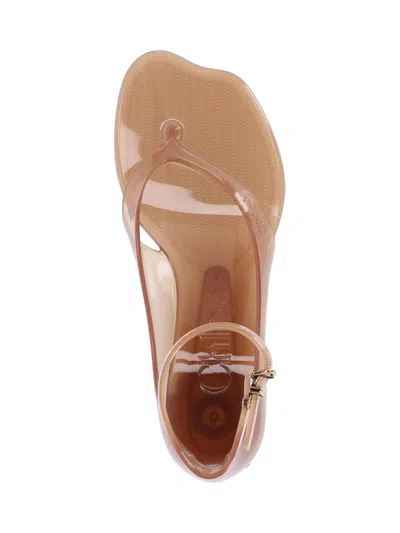 Chloé Jelly Brown Sandals With Logo Imprinted On The Side And Ankle Buckle Closure In Tpu Woman In Neutral
