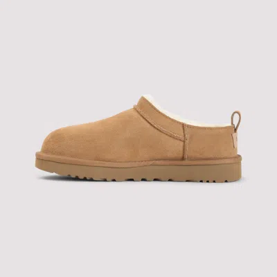 Ugg Classic Micro Beige Ankle Boots With Logo Embossed In Suede Woman In Brown