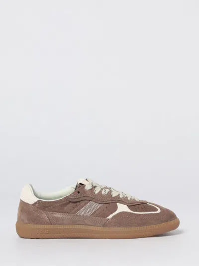 Alohas Tb.490 Rife Taupe Leather Sneakers Shoes In Brown