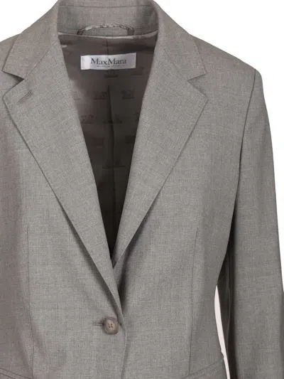 Max Mara Flap Pockets Long Sleeves Notched Lapels Jackets In Gray