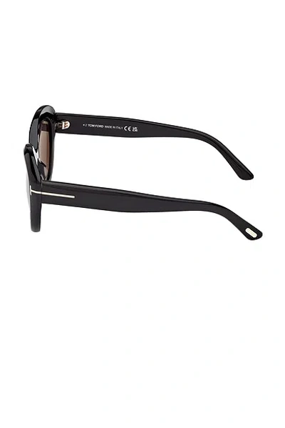 Tom Ford Stacy 53mm Cat-eye Sunglasses In Black