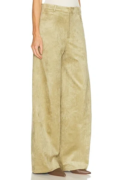Alexis Rustikan Pant In Green