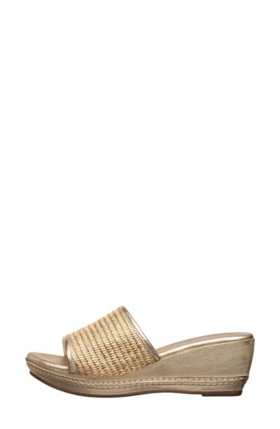 Antelope Donni Platform Wedge Sandal In Multi