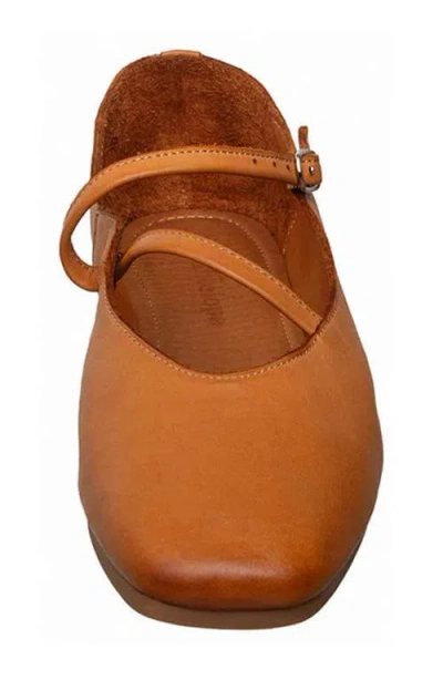 Antelope Lorelei Ballet Flat In Multi