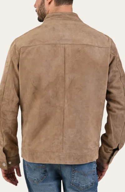 Frye Cafe Leather Racer Jacket In Brown