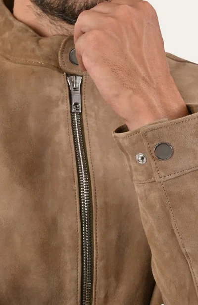 Frye Cafe Leather Racer Jacket In Brown