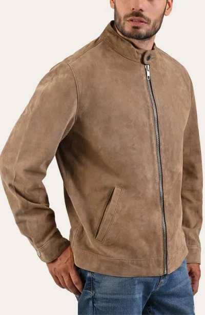 Frye Cafe Leather Racer Jacket In Brown