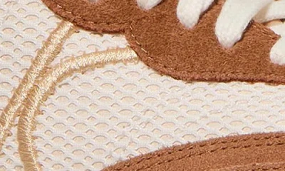 Kate Spade Drift Panelled Lace-up Sneakers In Brown