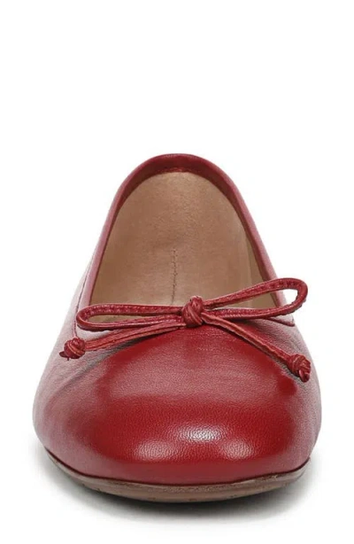 Sam Edelman Alie Bow-detail Leather Ballet Flats In Animal Print