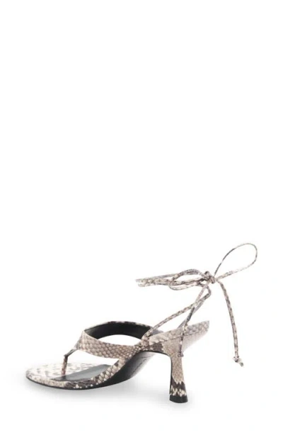 Bcbg Qwyn Ankle Strap Sandal In Multi