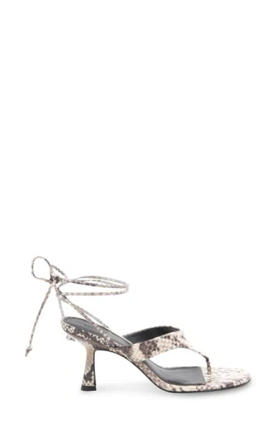 Bcbg Qwyn Ankle Strap Sandal In Multi