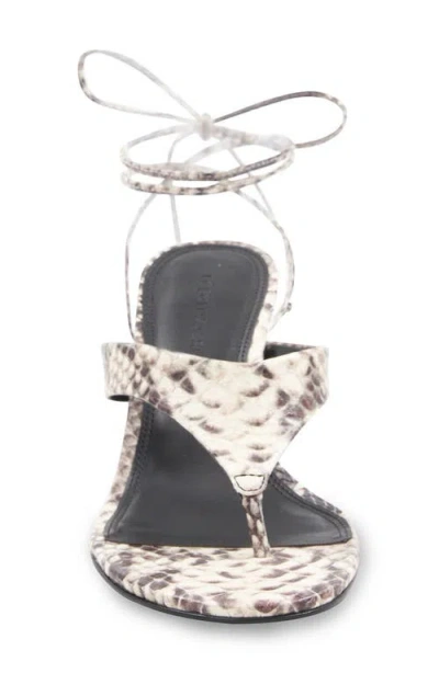 Bcbg Qwyn Ankle Strap Sandal In Multi