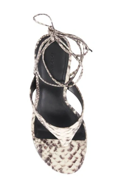 Bcbg Qwyn Ankle Strap Sandal In Multi