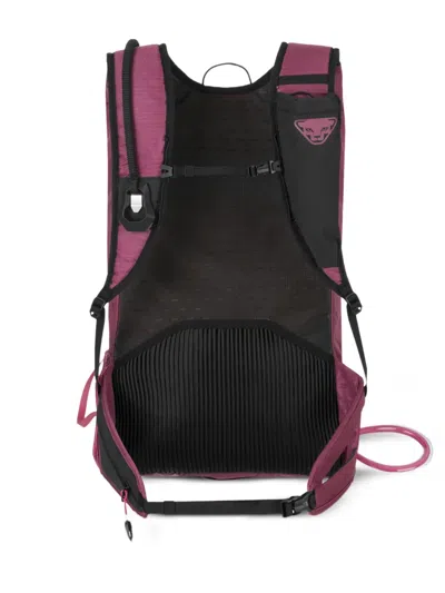 Dynafit Rucksack Mit Logo-detail In Multi