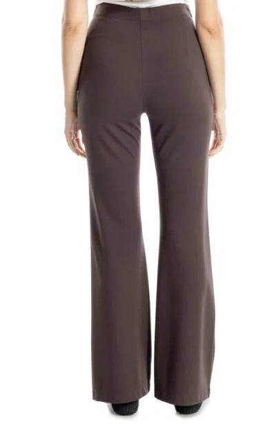 Max Studio Ponte Pants In Brown