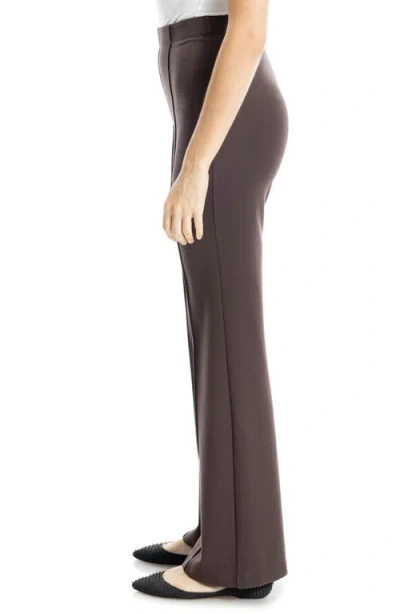 Max Studio Ponte Pants In Brown