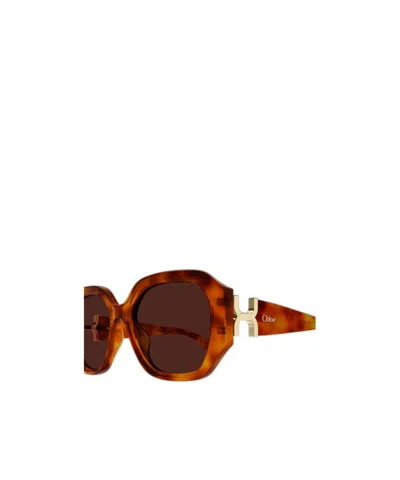 Chloé Full-frame Sunglasses In Brown