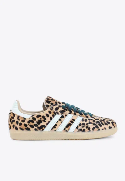Adidas Originals Handball Spezial Leopard-print Leather Sneakers In Animal Print