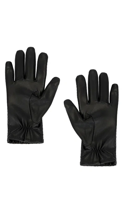 Bembien Emil 글러브 In Black