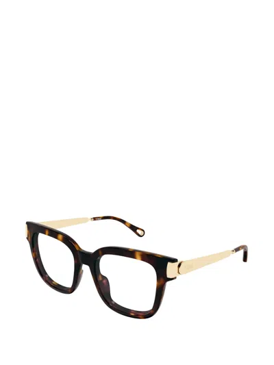 Chloé Square-frame Glasses In Multi