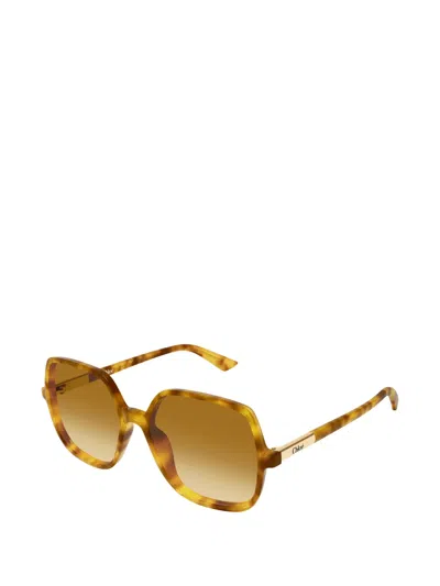 Chloé Judy Round-frame Tortoiseshell Acetate Sunglasses In Multi