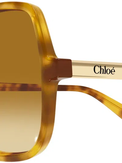 Chloé Judy Round-frame Tortoiseshell Acetate Sunglasses In Multi