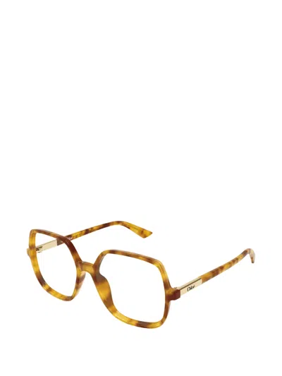 Chloé Oversized-frame Glasses In Multi
