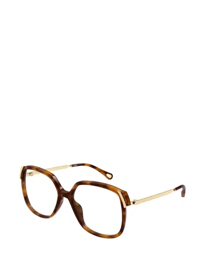 Chloé Square-frame Glasses In Multi