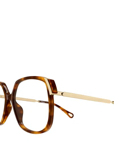 Chloé Square-frame Glasses In Multi