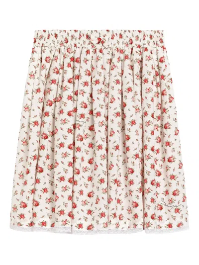 Dolce & Gabbana Small Rose-print Poplin Skirt In Multi