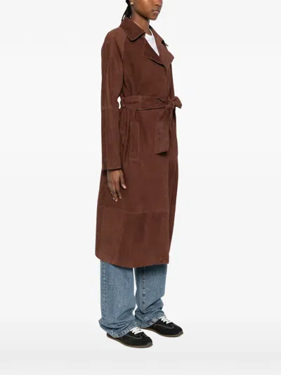 Arma Belted Jacket In Brown