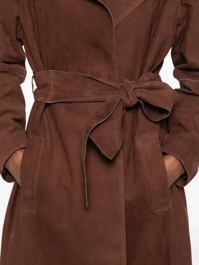 Arma Belted Jacket In Brown