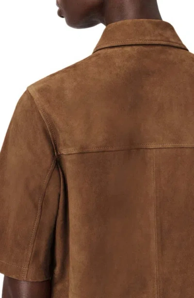 Allsaints Womens Sugar Brown Rock Short-sleeve Suede Mini Dress