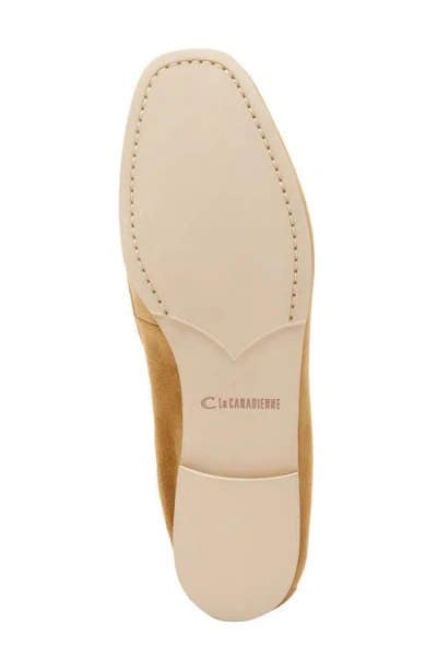 La Canadienne Kitson City Dry™ Penny Loafer In Brown