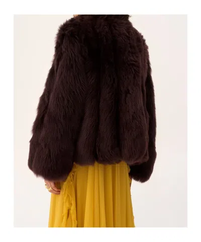 Chloé Oversized Shearling Short Coat In Brown