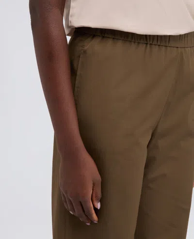 Aspesi Elasticated Cotton Trousers In Brown