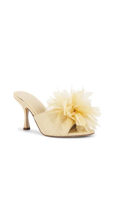 Sam Edelman Jace Mule In Gold