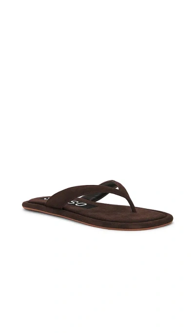 Senso Illy Flat Sandals In Brown