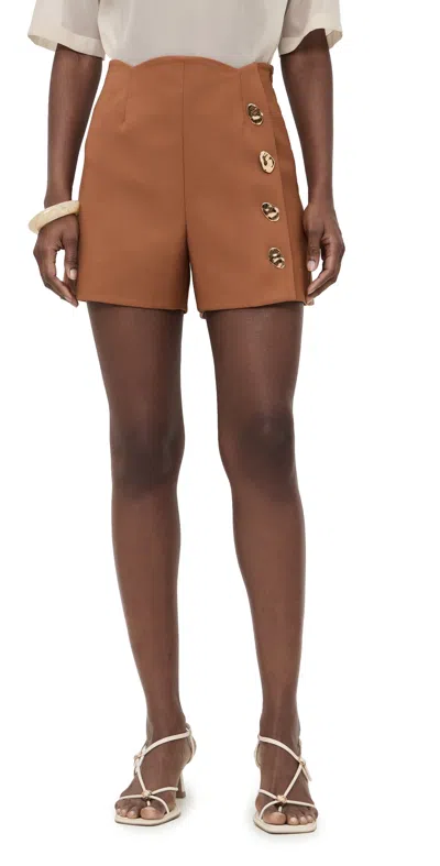 Alexis Xander Shorts Copperwood In Brown