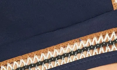 Robin Piccone Nova Tank Bikini Top In Multi