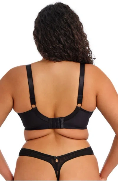 Elomi Teagan Thong In Black